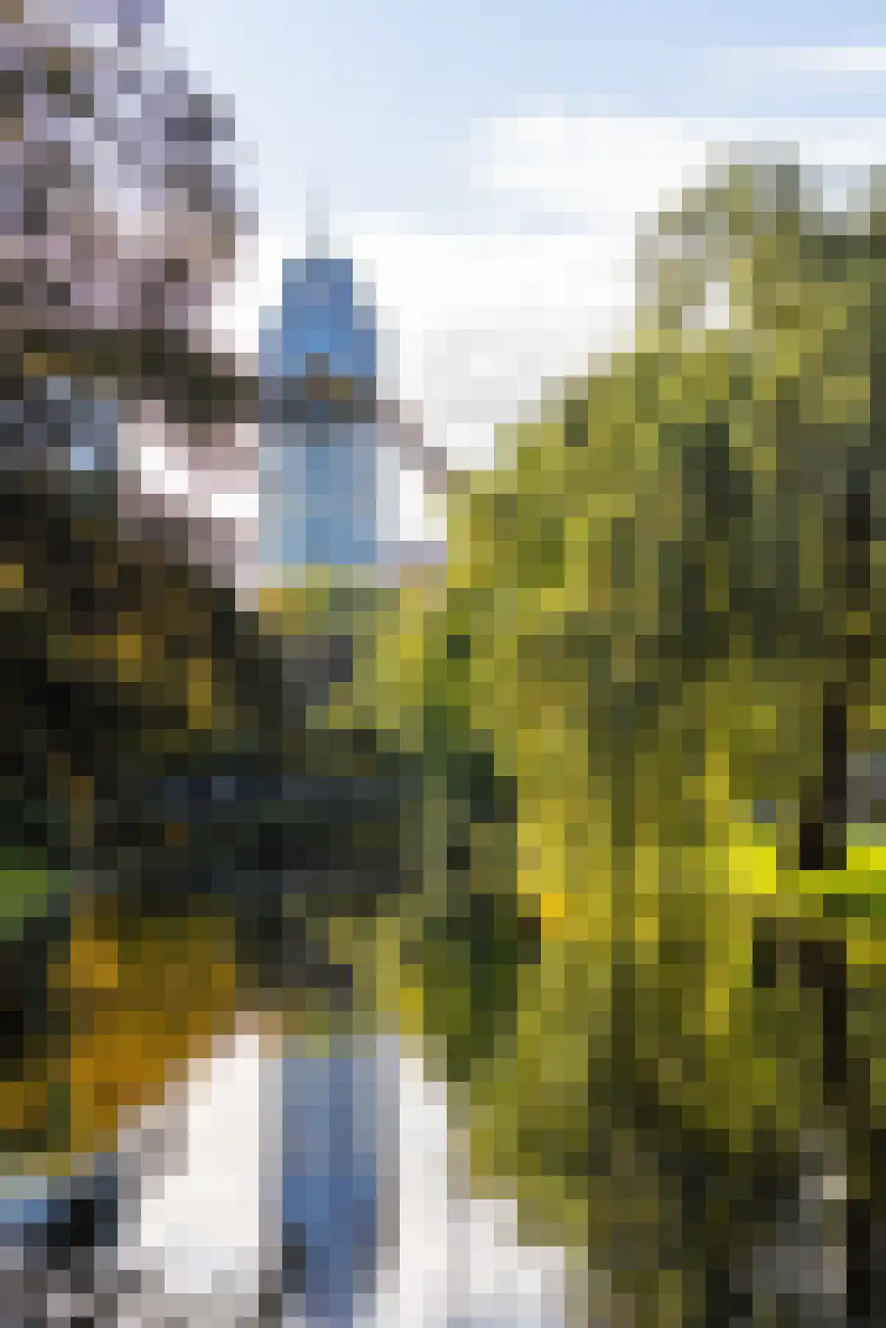Harddraverstraat 54 A Rotterdam thumbnail 29