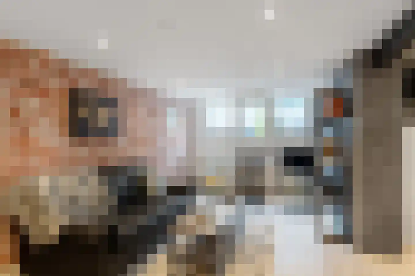 Harddraverstraat 6 Rotterdam thumbnail 10
