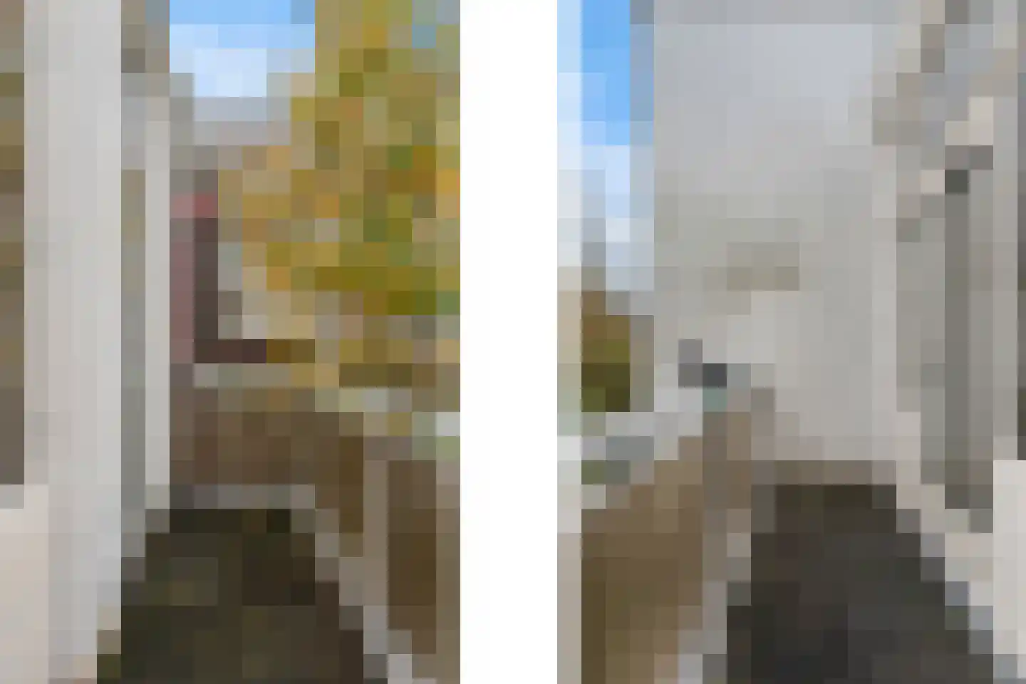 Harddraverstraat 6 Rotterdam thumbnail 42