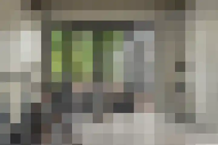 Harddraversweg 28 Joure thumbnail 10