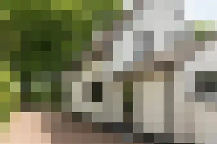 Harddraversweg 28 Joure thumbnail 12