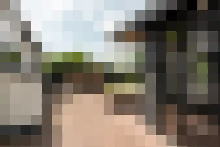 Harddraversweg 28 Joure thumbnail 13