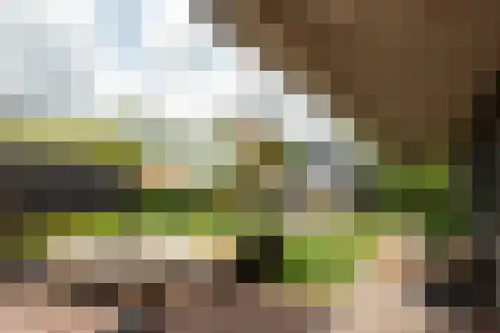 Harddraversweg 28 Joure thumbnail 14