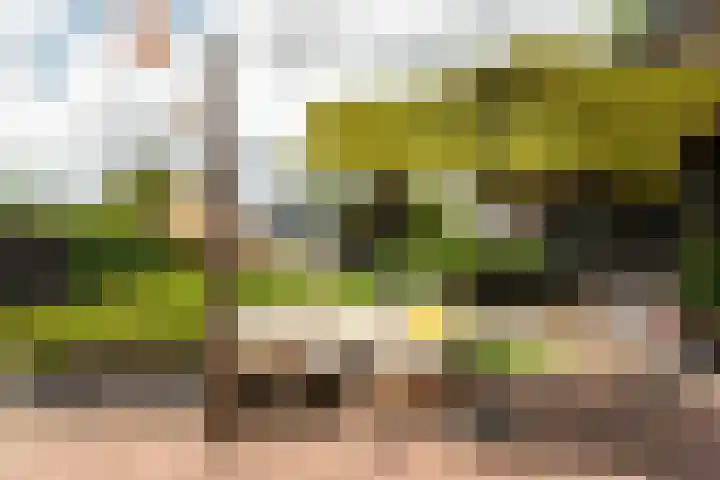Harddraversweg 28 Joure thumbnail 15