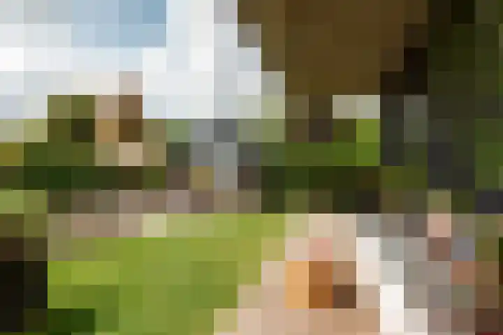 Harddraversweg 28 Joure thumbnail 16