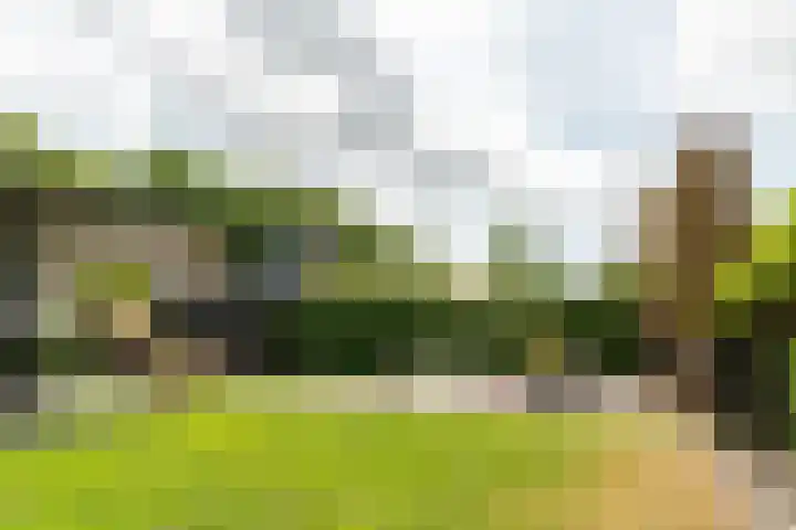 Harddraversweg 28 Joure thumbnail 17