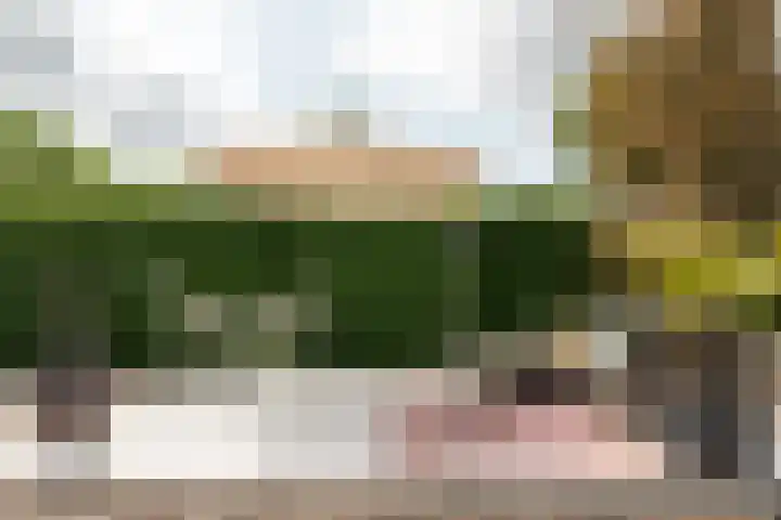 Harddraversweg 28 Joure thumbnail 18