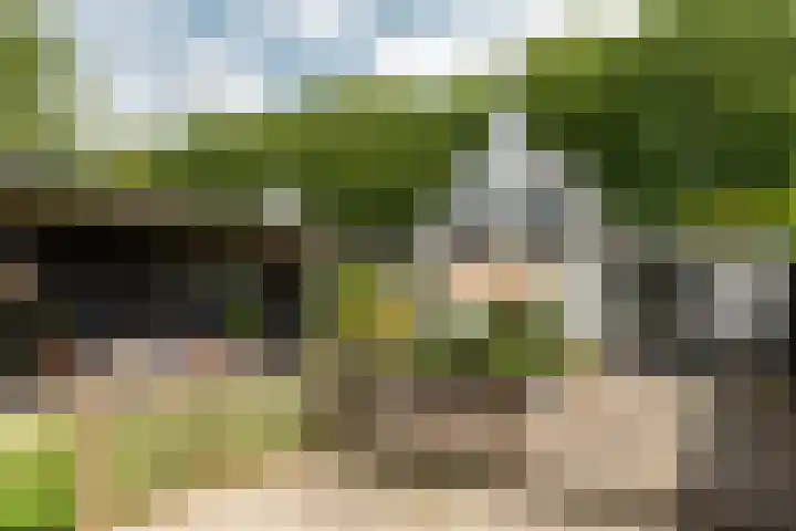 Harddraversweg 28 Joure thumbnail 20