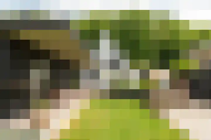 Harddraversweg 28 Joure thumbnail 21