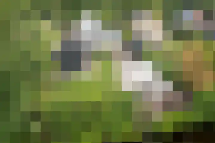 Harddraversweg 28 Joure thumbnail 22