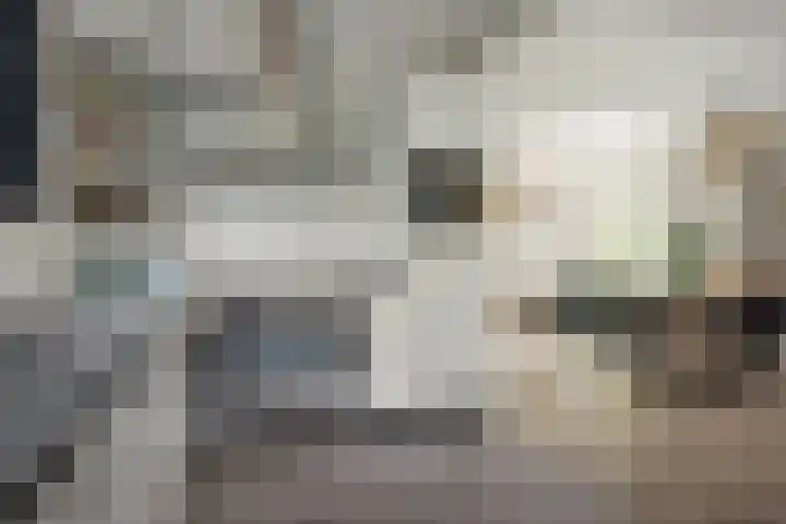 Harddraversweg 28 Joure thumbnail 31