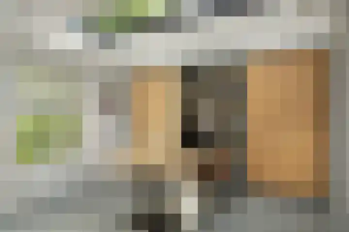 Harddraversweg 28 Joure thumbnail 34