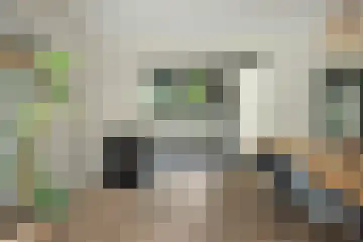 Harddraversweg 28 Joure thumbnail 36