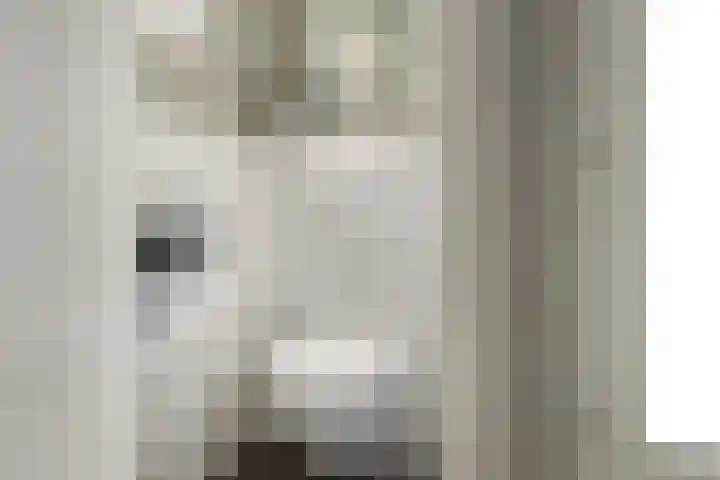 Harddraversweg 28 Joure thumbnail 38