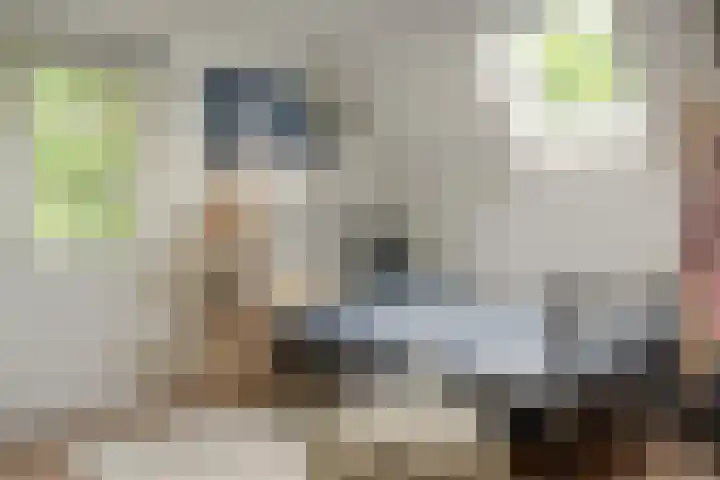 Harddraversweg 28 Joure thumbnail 44