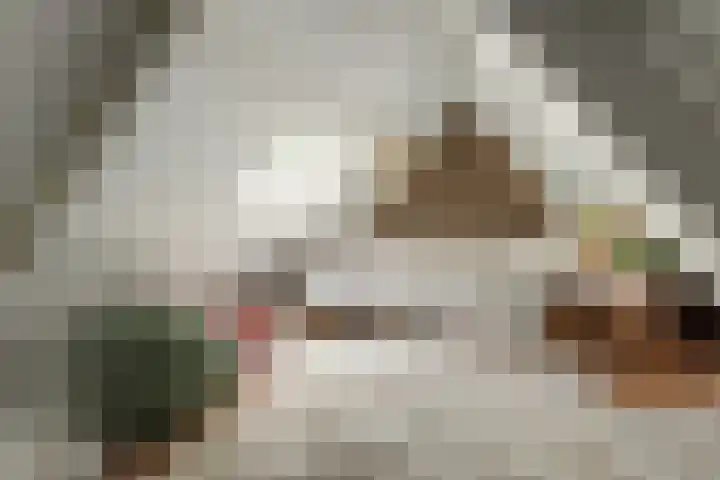 Harddraversweg 28 Joure thumbnail 48