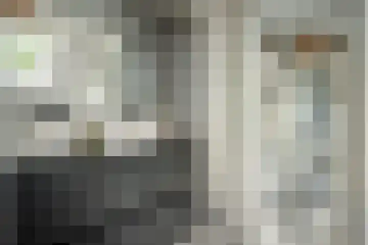 Harddraversweg 28 Joure thumbnail 5