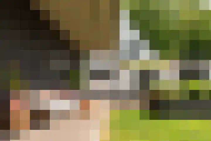 Harddraversweg 28 Joure thumbnail 51