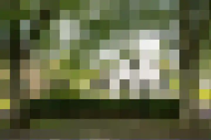Harddraversweg 28 Joure thumbnail 52