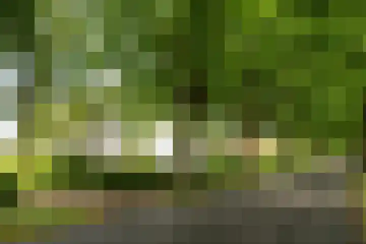 Harddraversweg 28 Joure thumbnail 53