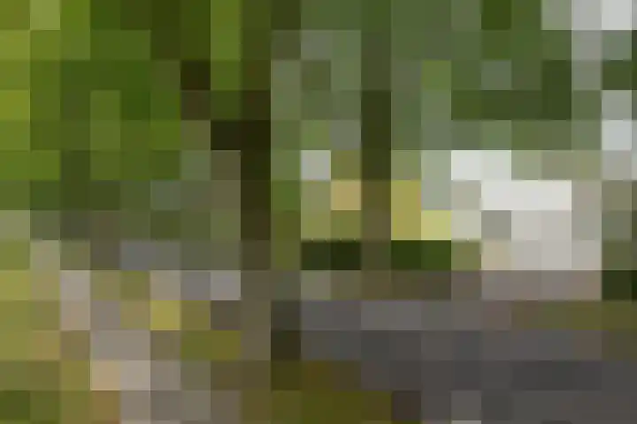 Harddraversweg 28 Joure thumbnail 54