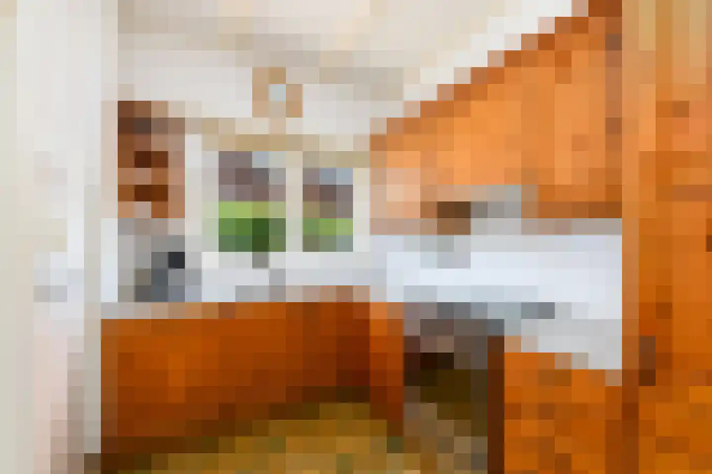 Harddraversweg 48 Joure thumbnail 13