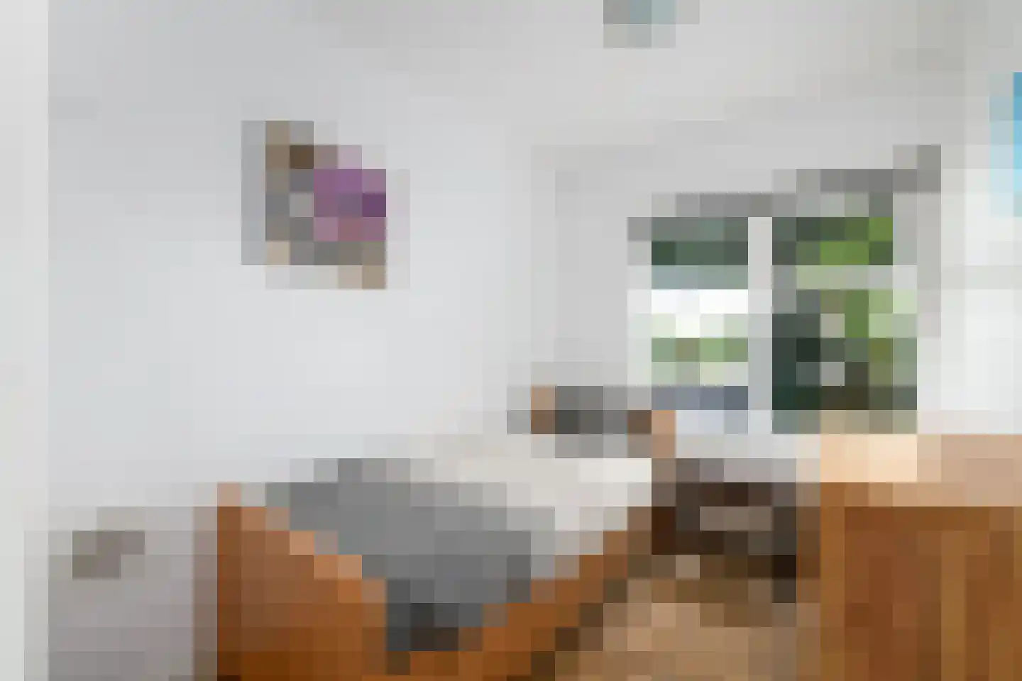 Harddraversweg 48 Joure thumbnail 17