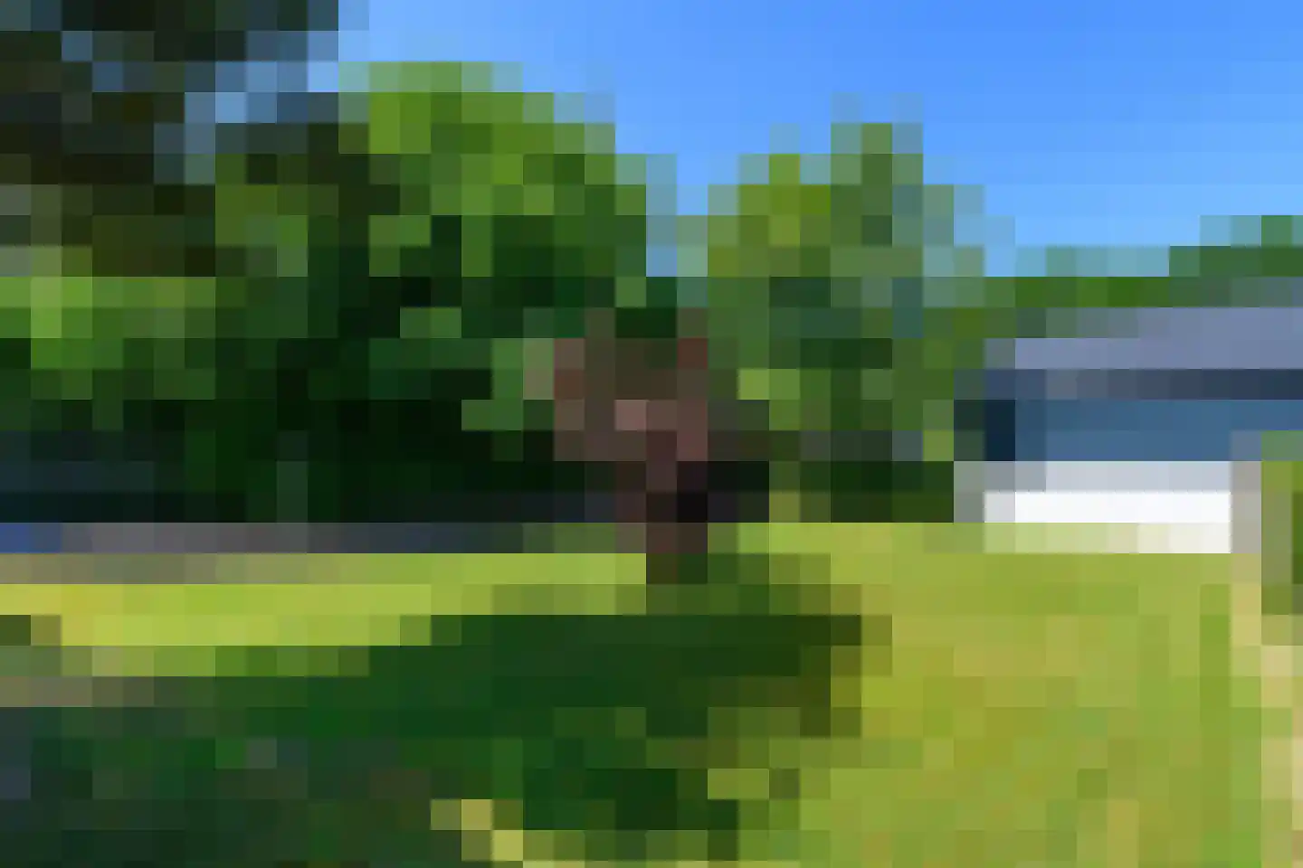 Harddraversweg 48 Joure thumbnail 37