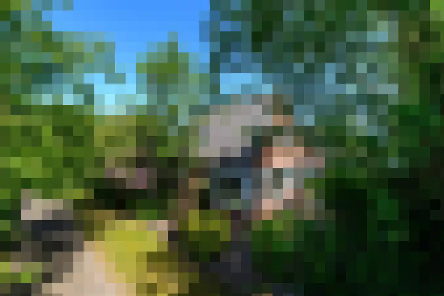 Harddraversweg 48 Joure thumbnail 46