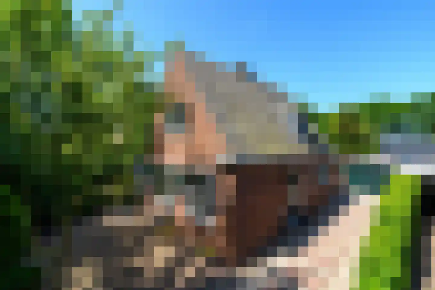 Harddraversweg 48 Joure thumbnail 47
