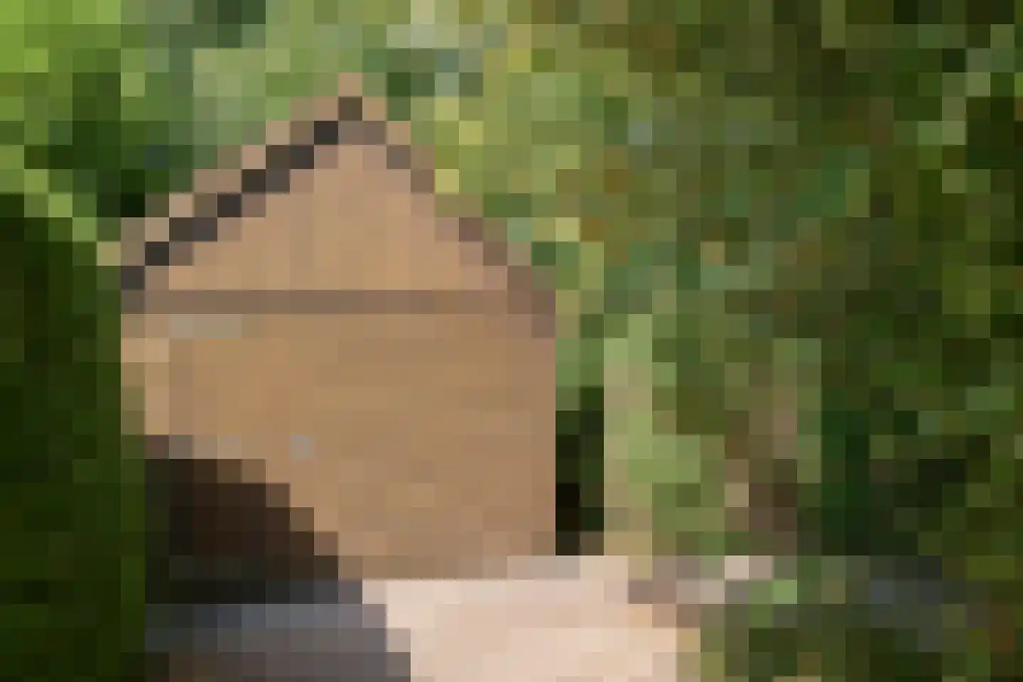 Harddraversweg 50 Joure thumbnail 15