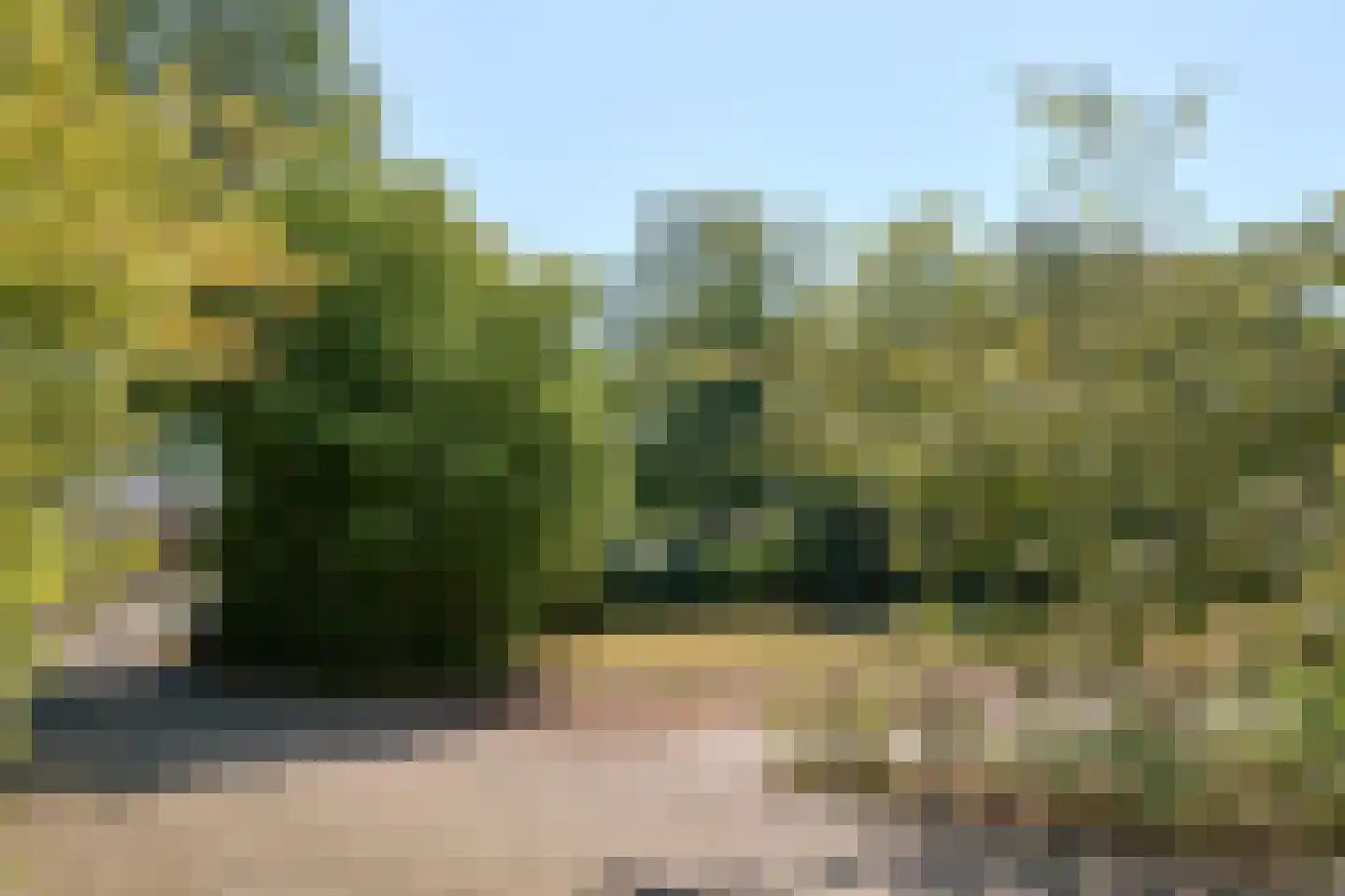 Harddraversweg 50 Joure thumbnail 9