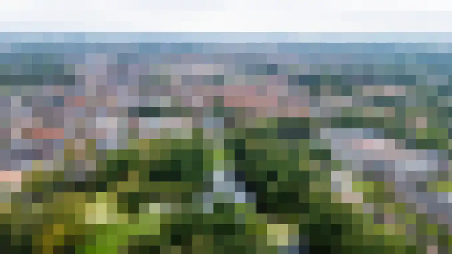 Harddraversweg 7 Joure thumbnail 16