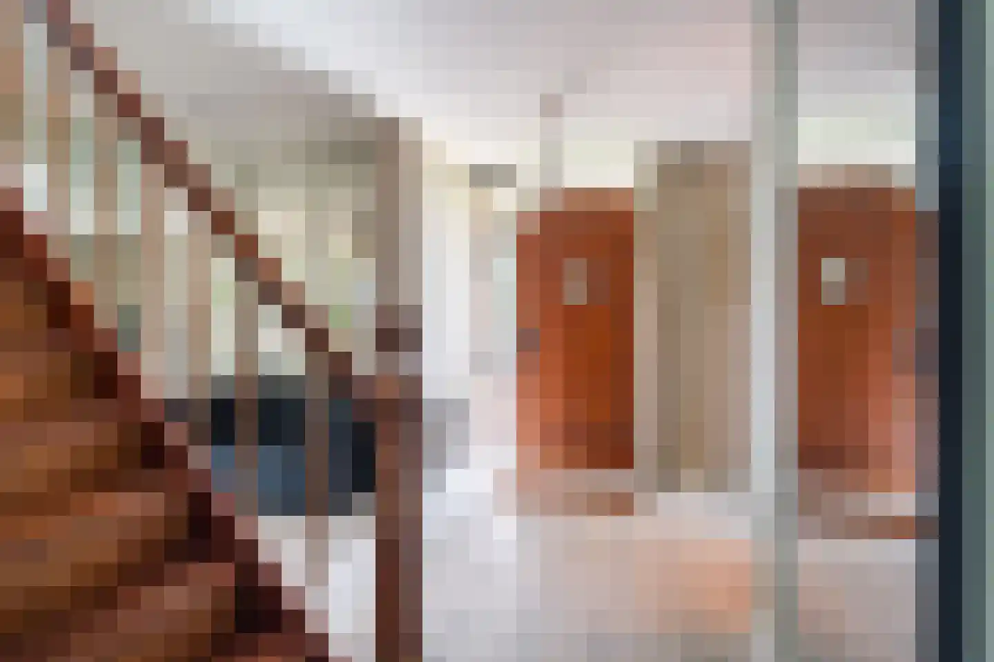 Harddraversweg 7 Joure thumbnail 19