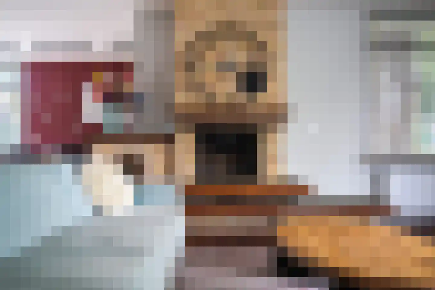 Harddraversweg 7 Joure thumbnail 32