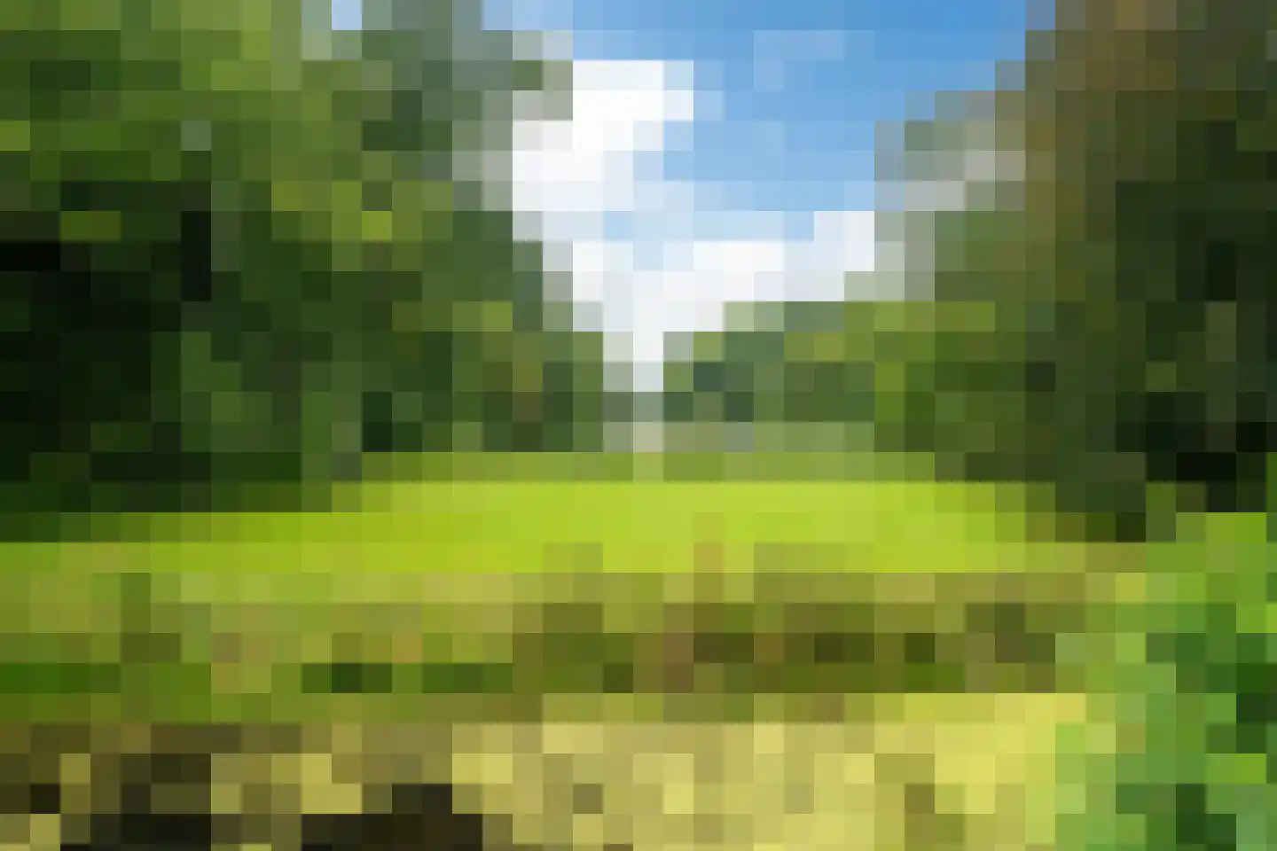 Harddraversweg 7 Joure thumbnail 45
