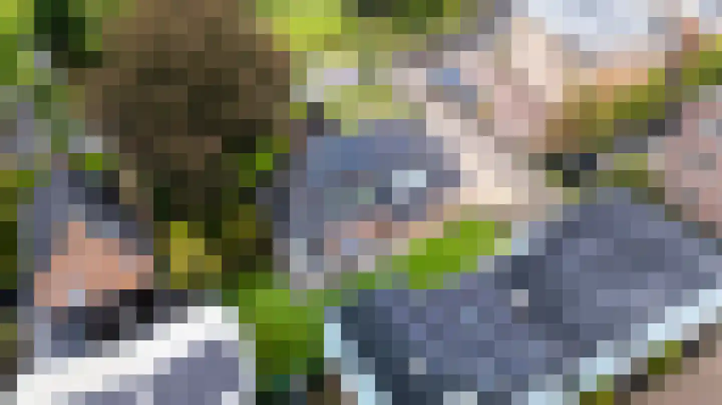 Harddraversweg 7 Joure thumbnail 47