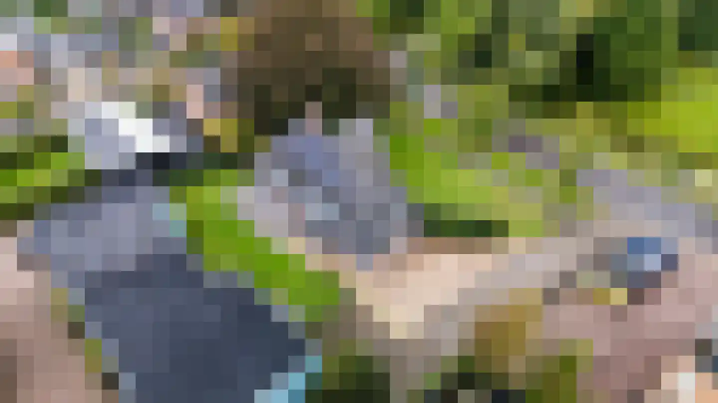 Harddraversweg 7 Joure thumbnail 49