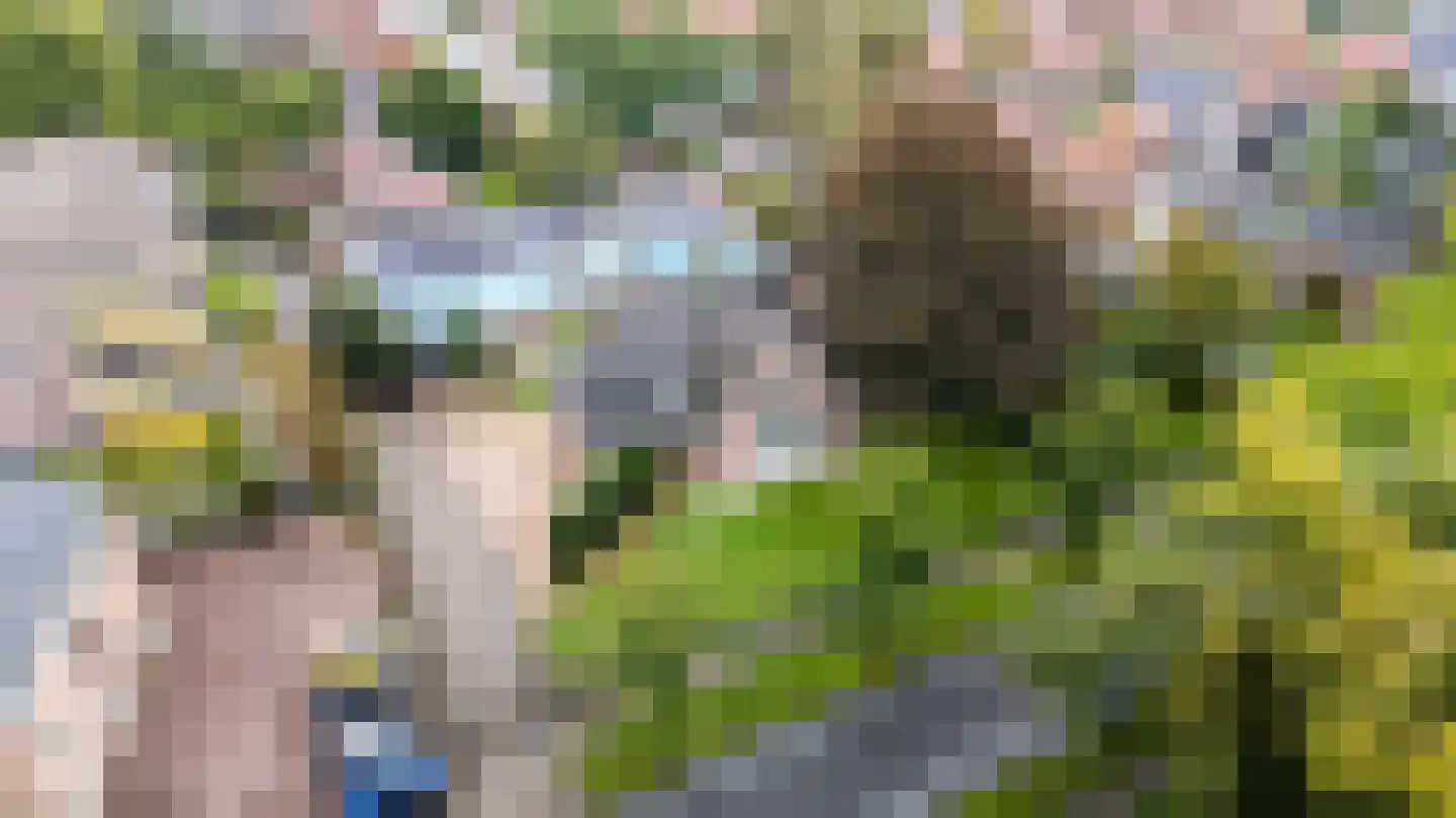 Harddraversweg 7 Joure thumbnail 50