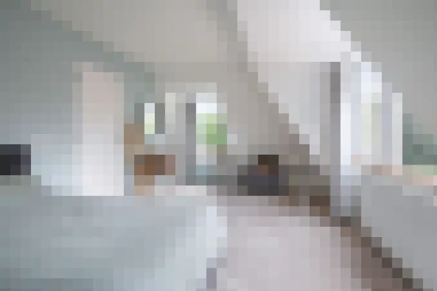 Harddraversweg 7 Joure thumbnail 54