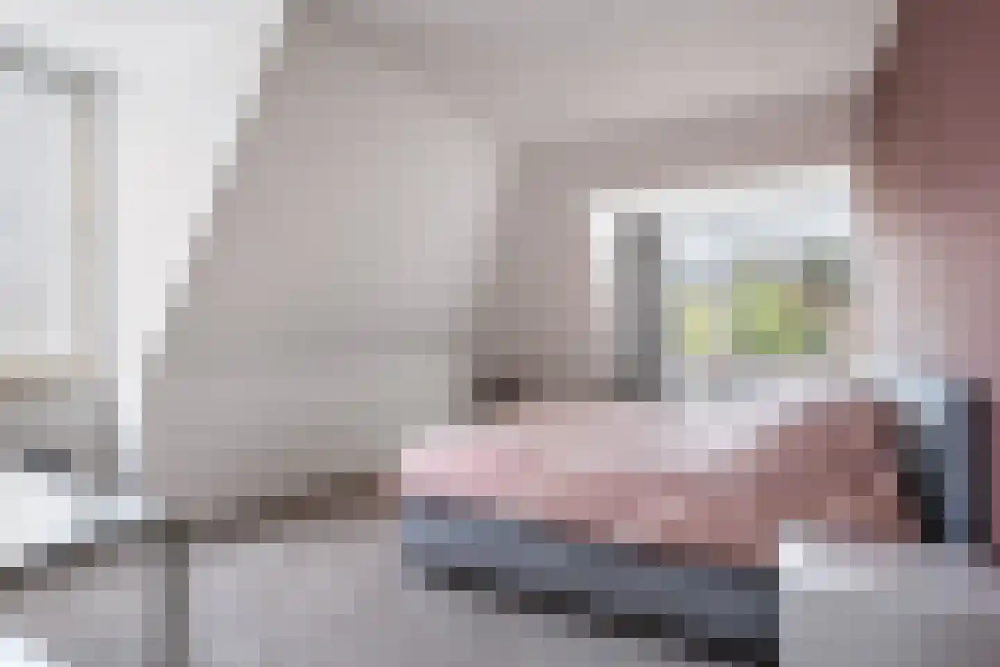 Harddraversweg 7 Joure thumbnail 59