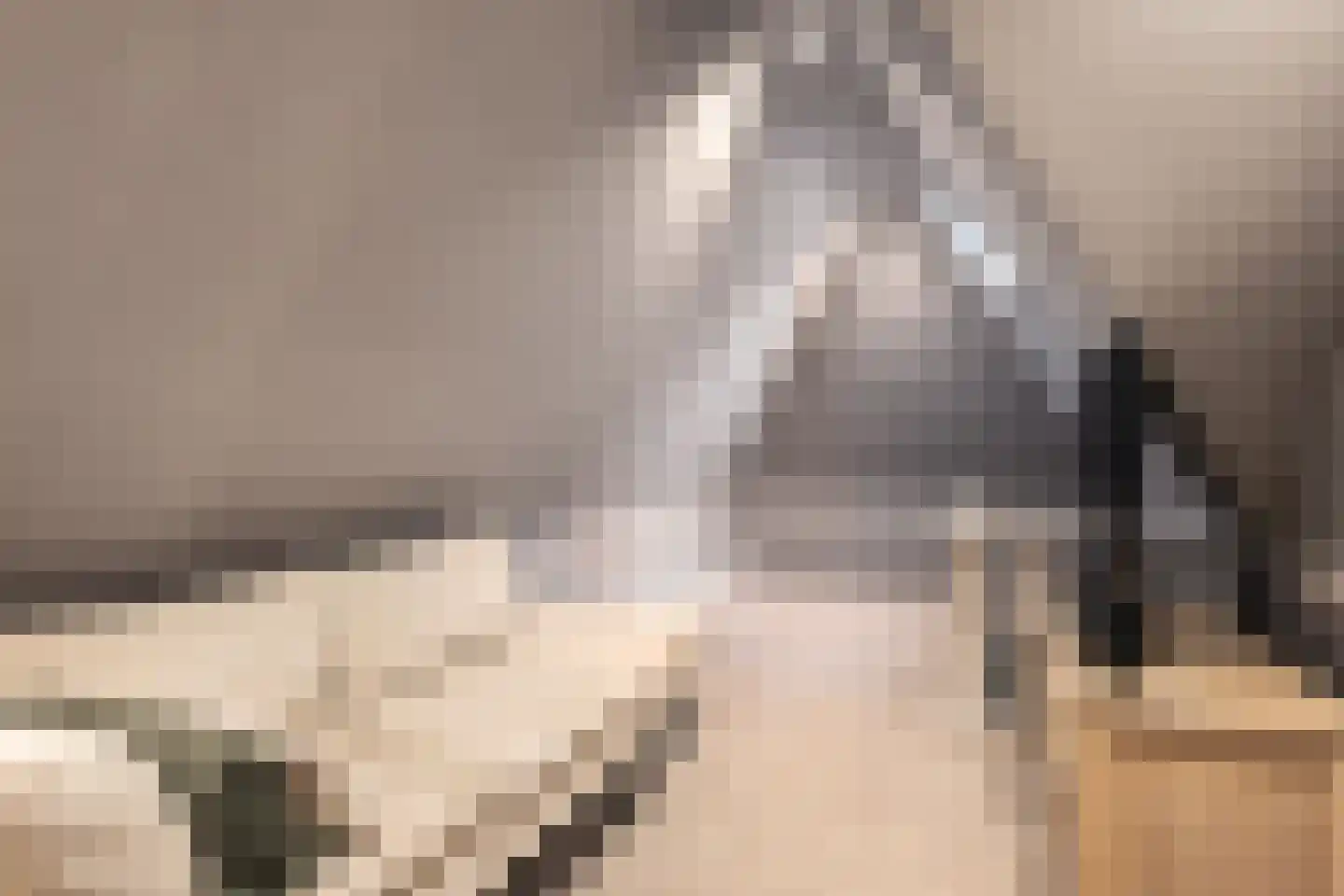 Harddraversweg 7 Joure thumbnail 65