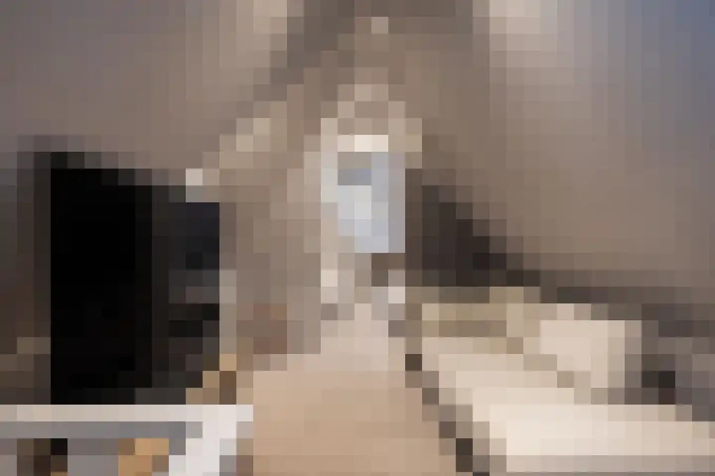 Harddraversweg 7 Joure thumbnail 66