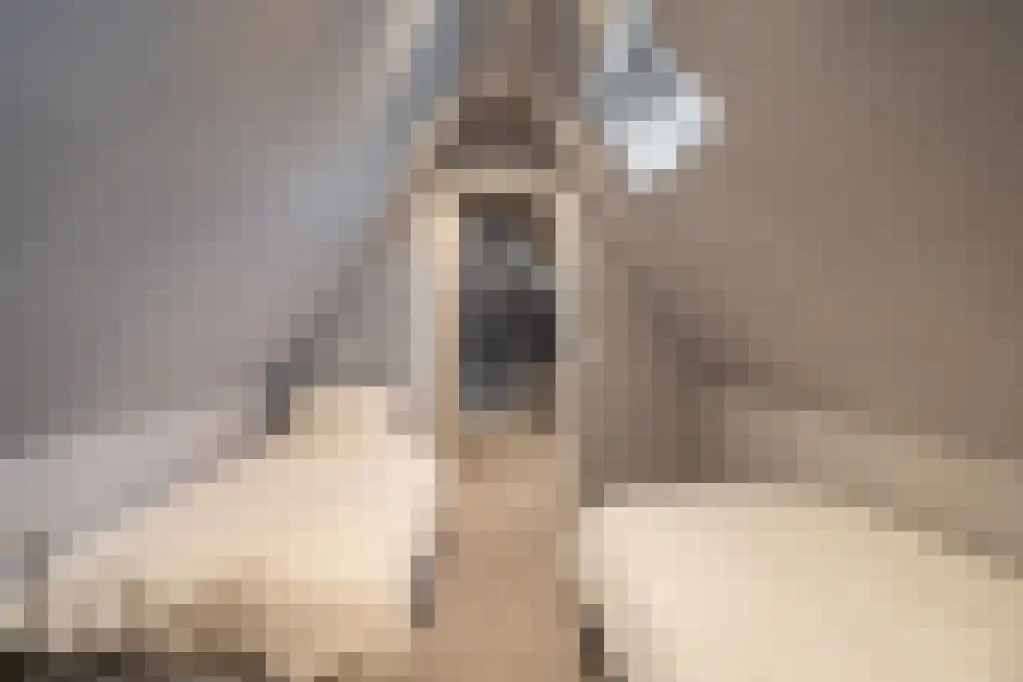 Harddraversweg 7 Joure thumbnail 68