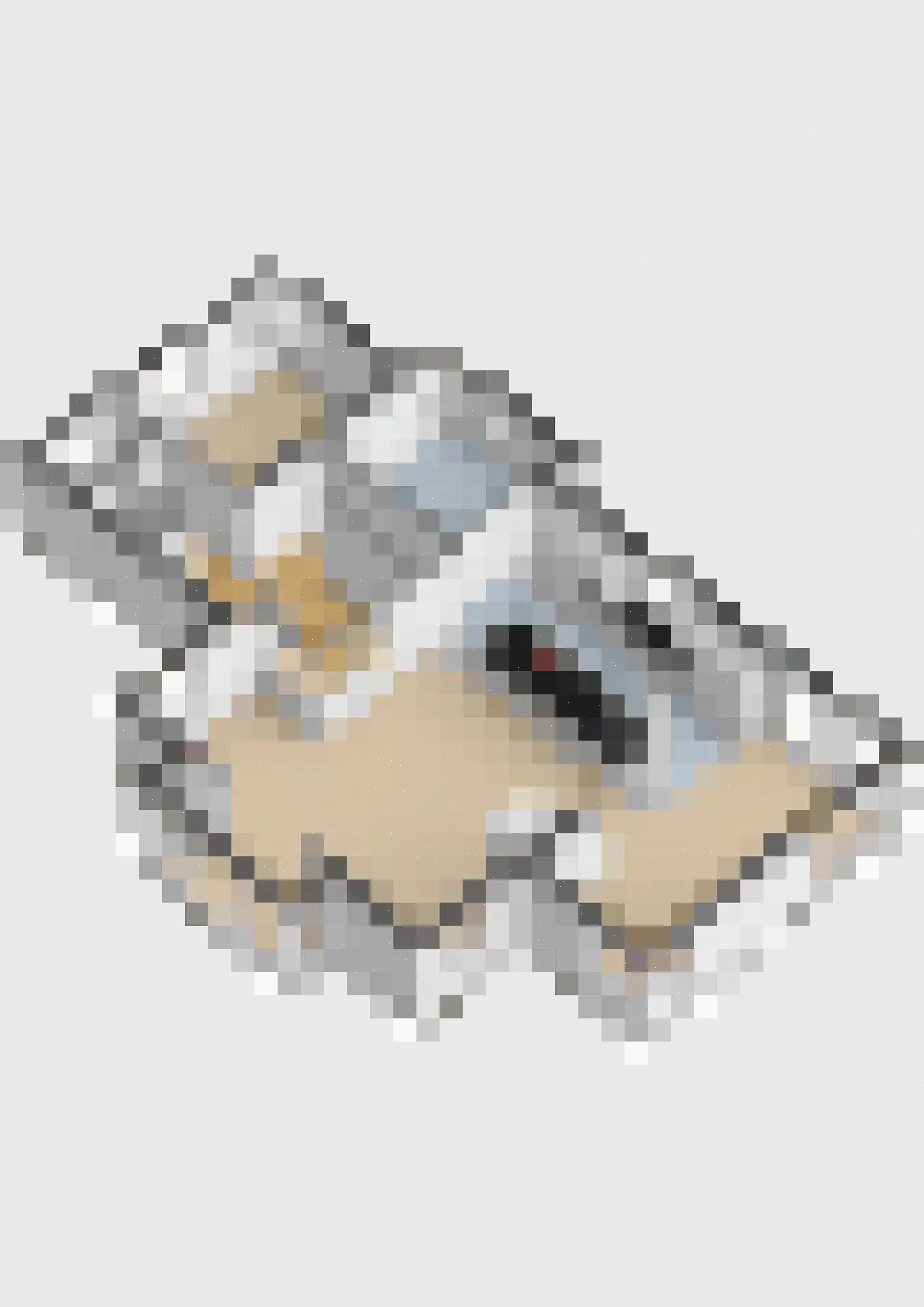 Harddraversweg 7 Joure thumbnail 73