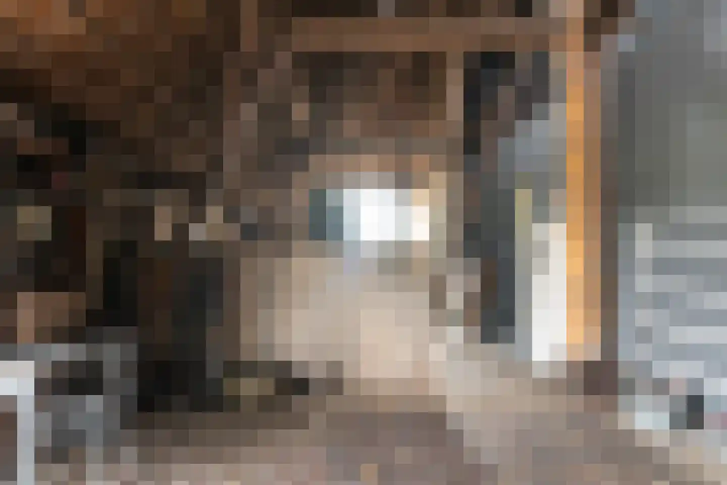 Harddraversweg 78 Joure thumbnail 32