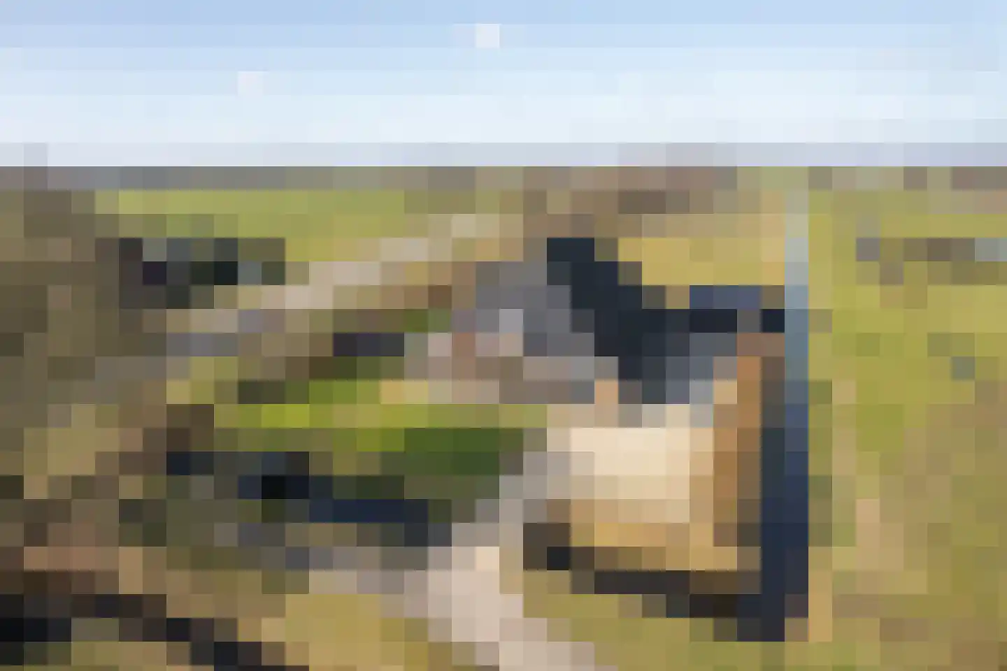 Harddraversweg 78 Joure thumbnail 47