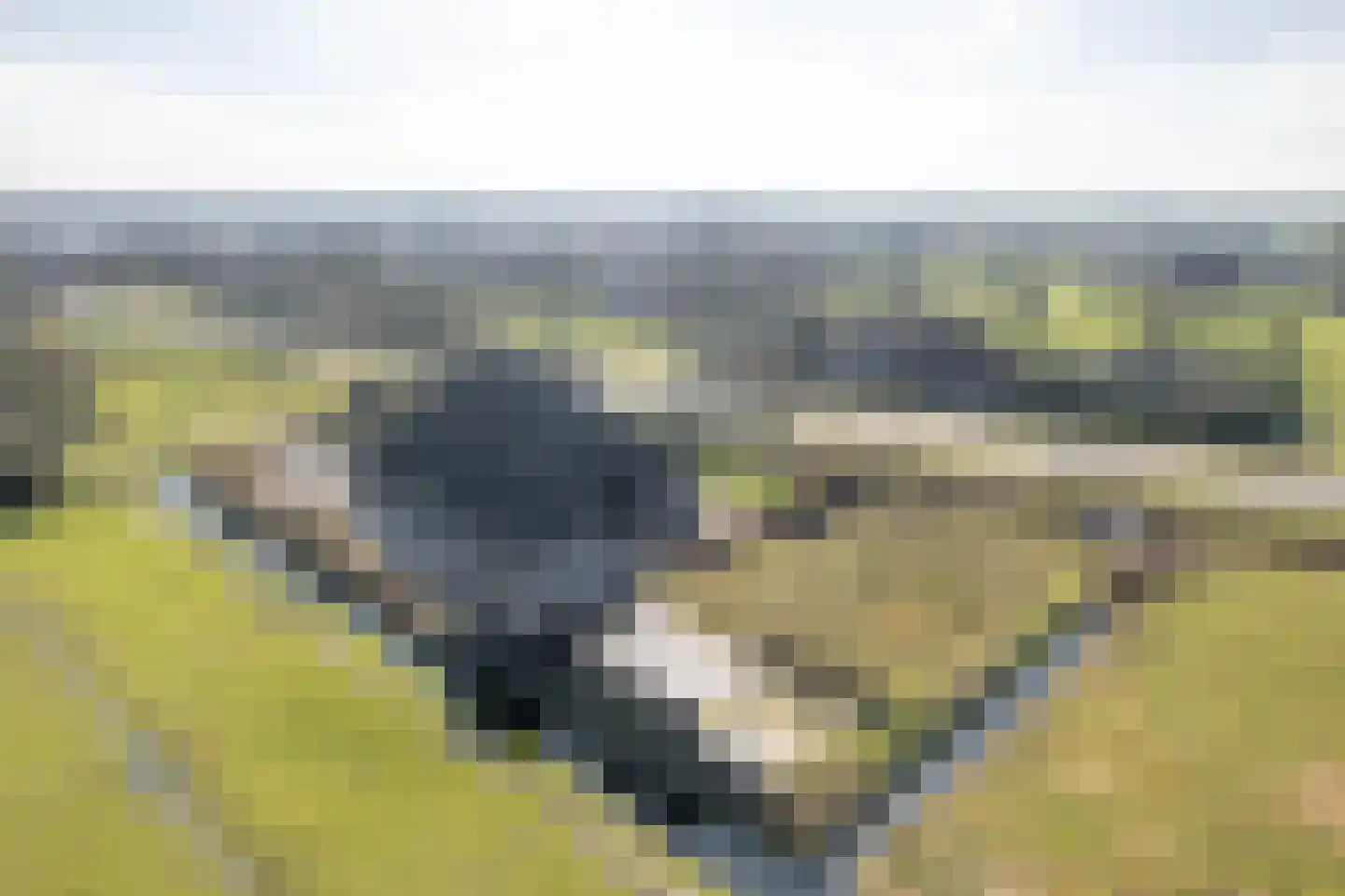 Harddraversweg 78 Joure thumbnail 51