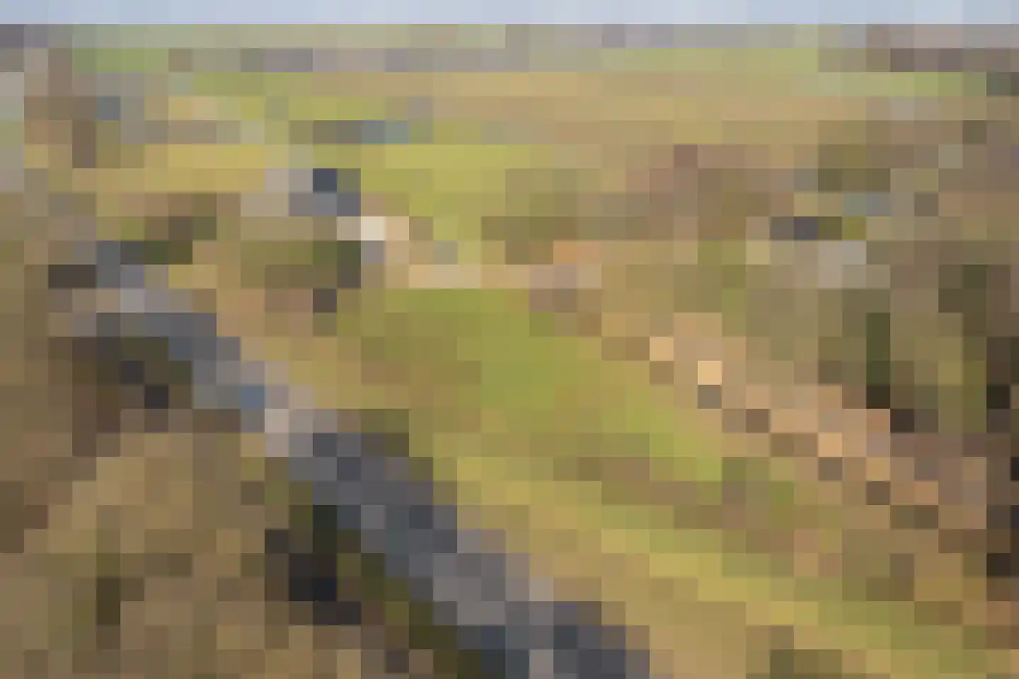 Harddraversweg 78 Joure thumbnail 53