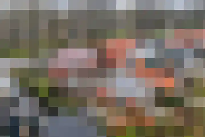 Harddraversweg 89 Joure thumbnail 11